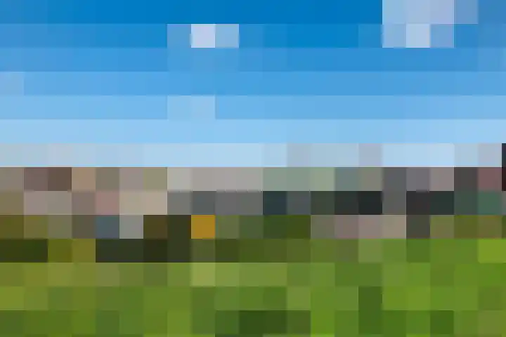 Letterhout 39 Zaandam thumbnail 36