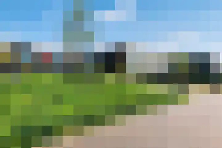 Letterhout 39 Zaandam thumbnail 37