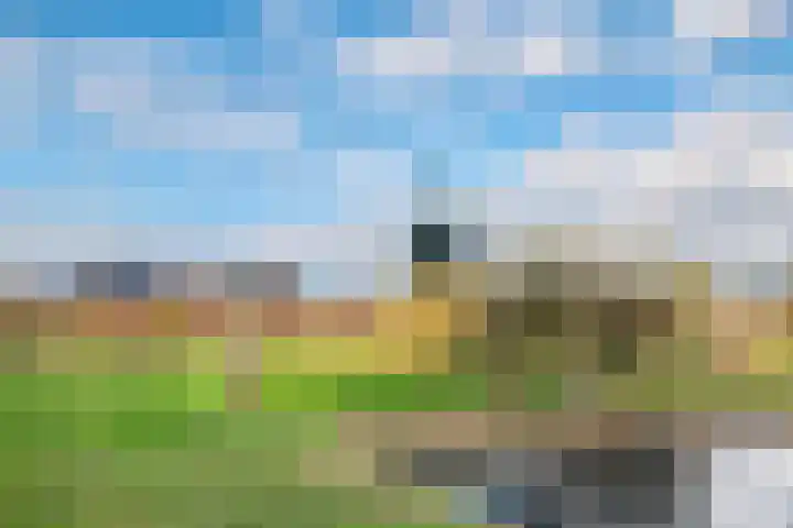 Letterhout 39 Zaandam thumbnail 38