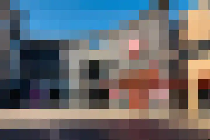 Letterhout 39 Zaandam thumbnail 44