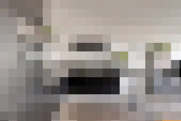 Letterhout 39 Zaandam thumbnail 8
