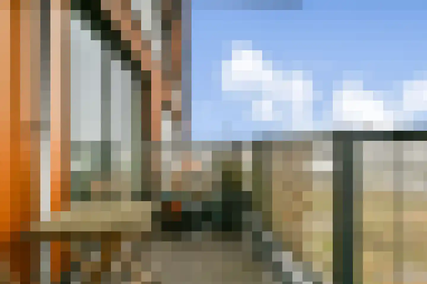 Letterhout 51 Zaandam thumbnail 16