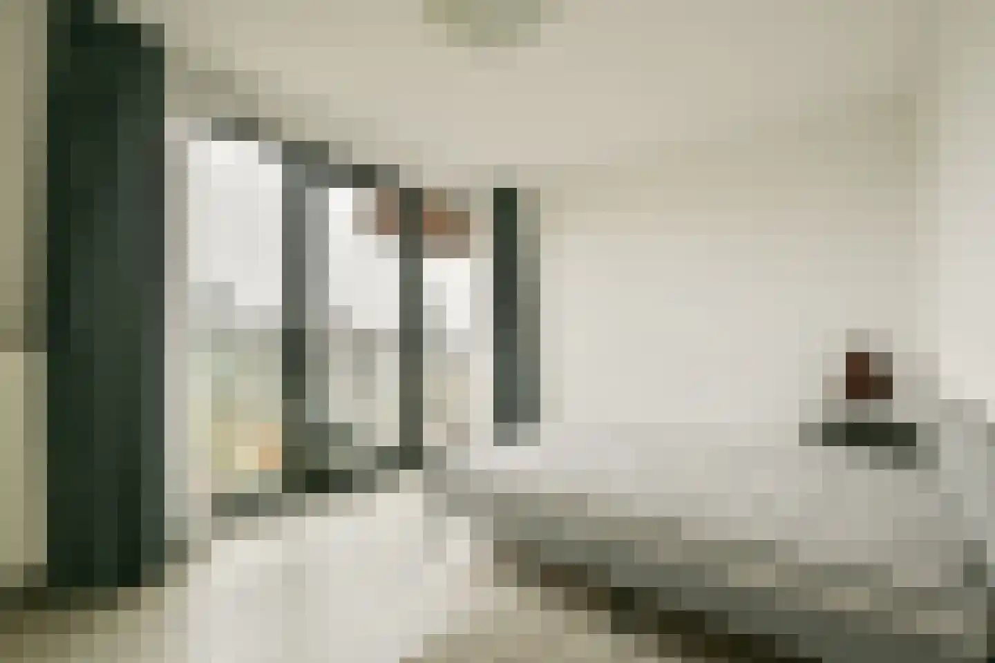 Letterhout 51 Zaandam thumbnail 19