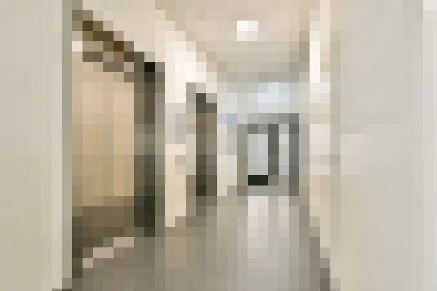 Letterhout 51 Zaandam thumbnail 29