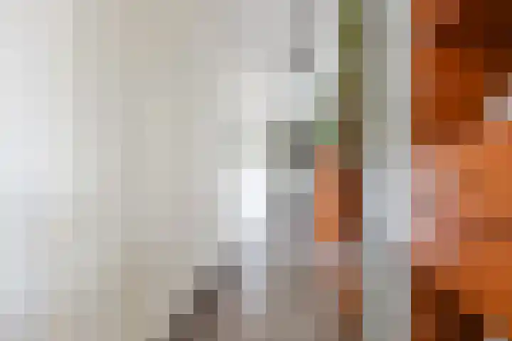 Letterhout 71 Zaandam thumbnail 13