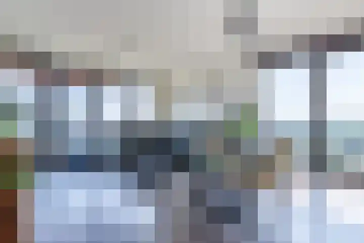 Letterhout 71 Zaandam thumbnail 17