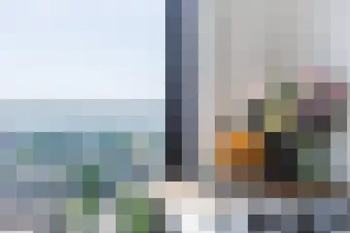 Letterhout 71 Zaandam thumbnail 21