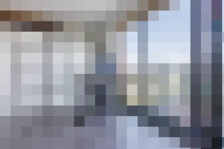 Letterhout 71 Zaandam thumbnail 27