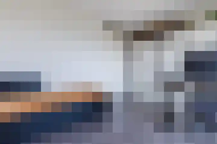 Letterhout 71 Zaandam thumbnail 28
