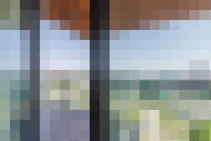 Letterhout 71 Zaandam thumbnail 33