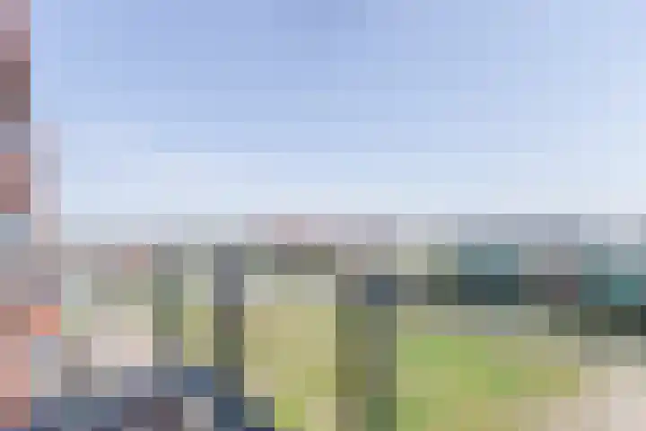 Letterhout 71 Zaandam thumbnail 34