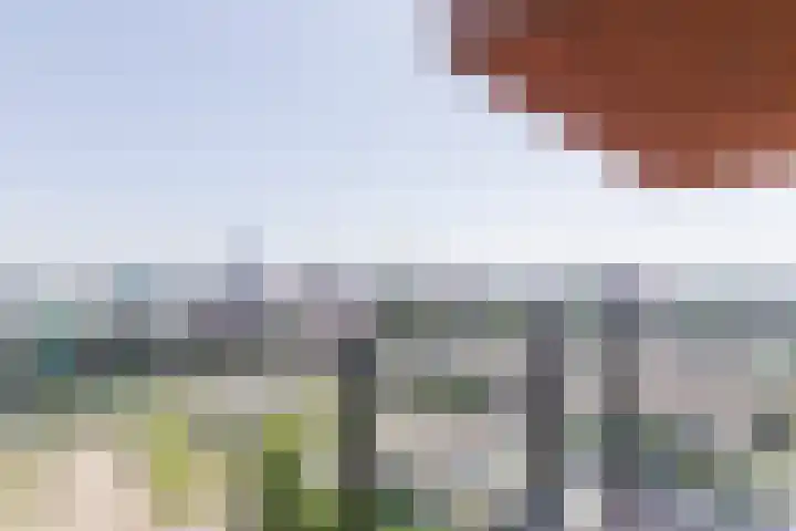 Letterhout 71 Zaandam thumbnail 35