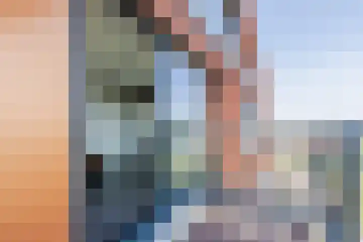 Letterhout 71 Zaandam thumbnail 36