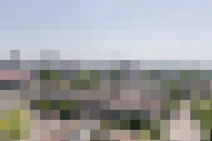 Letterhout 71 Zaandam thumbnail 37