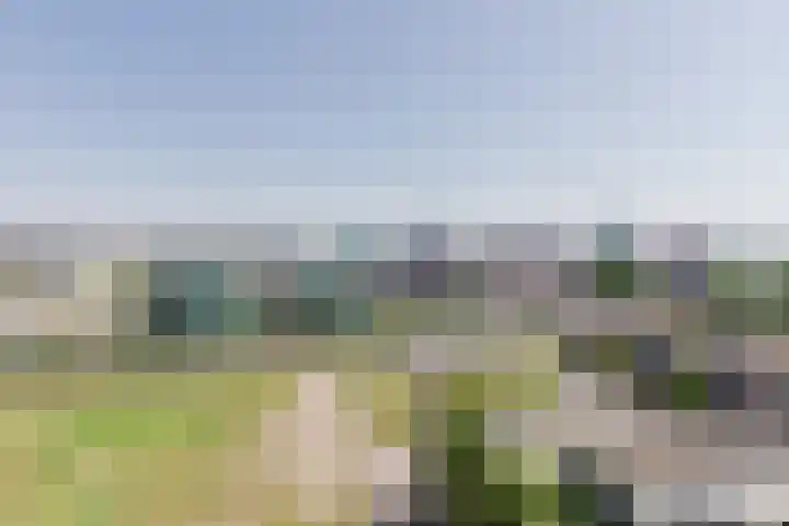 Letterhout 71 Zaandam thumbnail 38