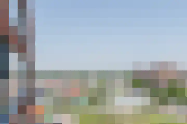 Letterhout 71 Zaandam thumbnail 39