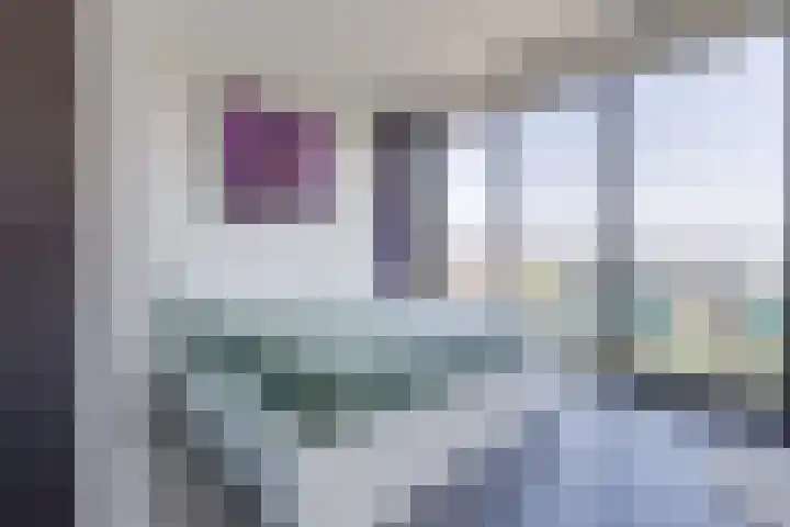 Letterhout 71 Zaandam thumbnail 4