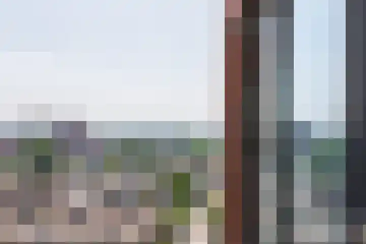 Letterhout 71 Zaandam thumbnail 40
