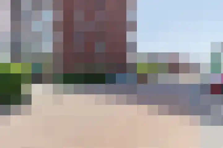Letterhout 71 Zaandam thumbnail 44