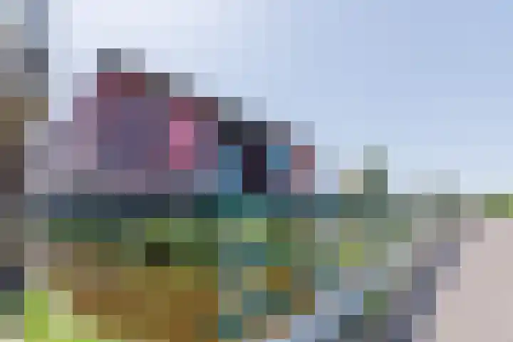 Letterhout 71 Zaandam thumbnail 45