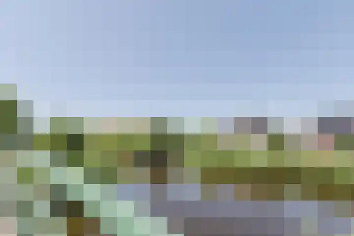 Letterhout 71 Zaandam thumbnail 46