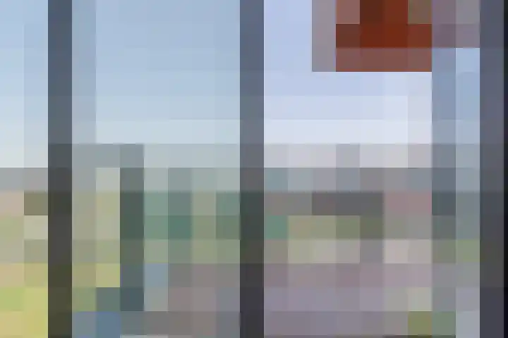 Letterhout 71 Zaandam thumbnail 5