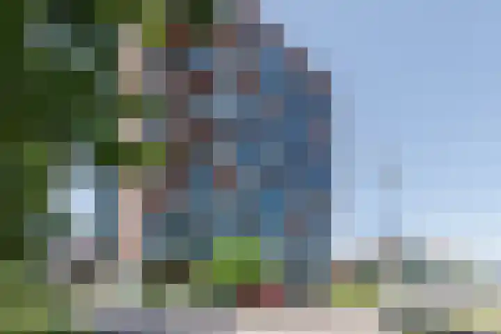 Letterhout 71 Zaandam thumbnail 6