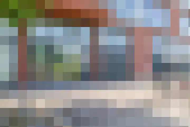 Letterhout 71 Zaandam thumbnail 7