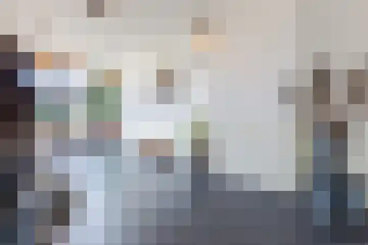 Letterhout 71 Zaandam thumbnail 8