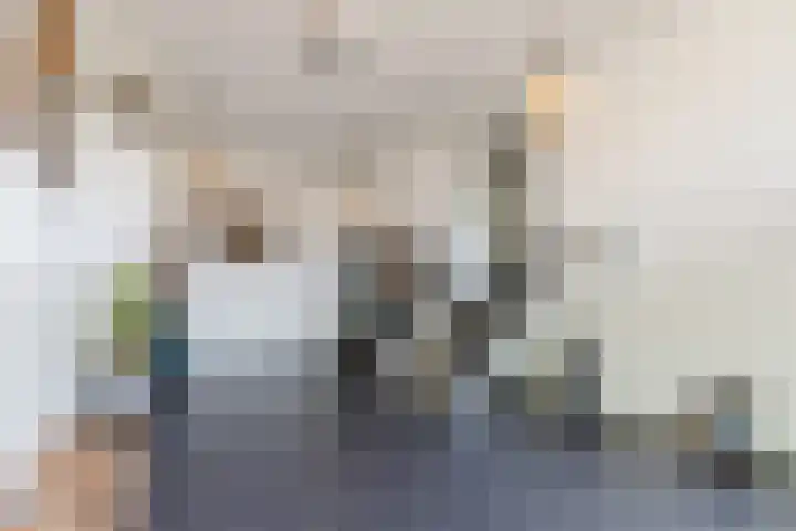 Letterhout 71 Zaandam thumbnail 9