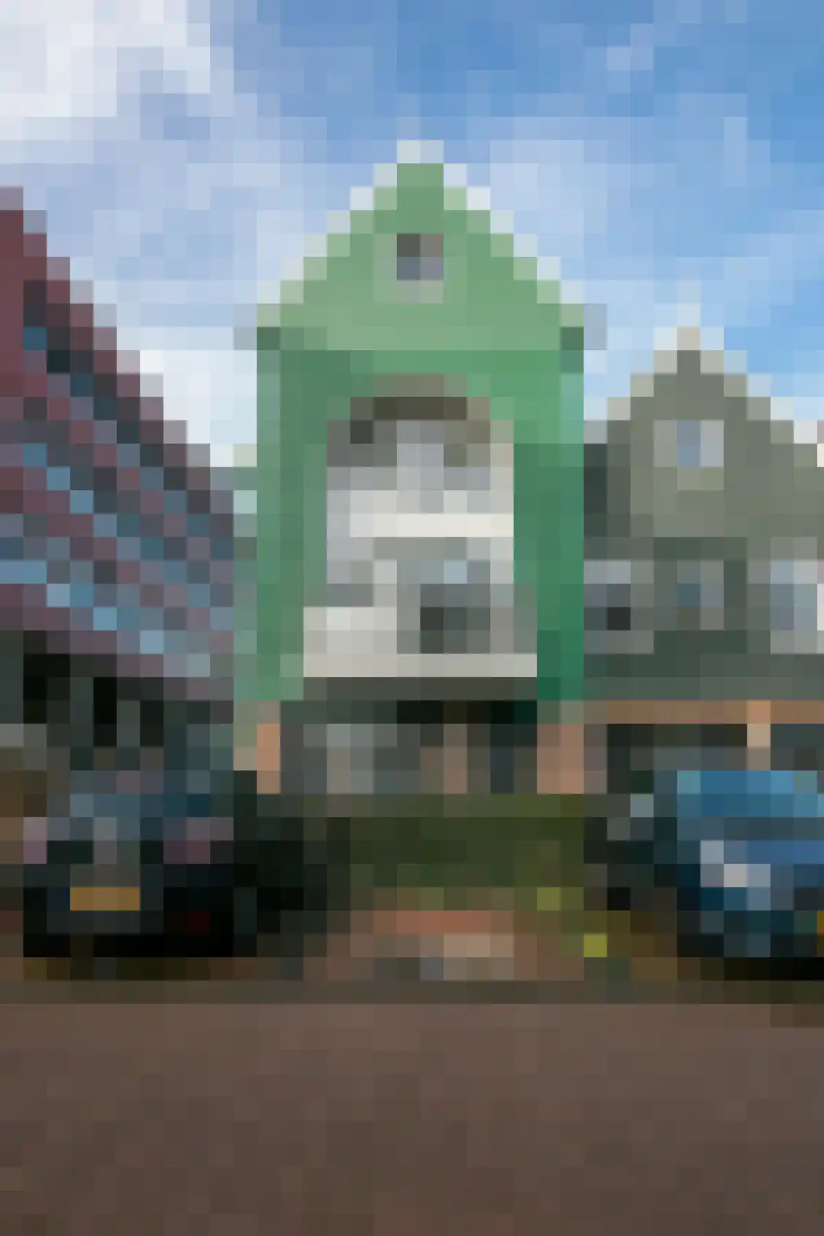 Letterhout 77 in Zaandam