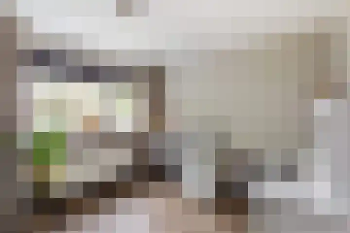 Letterveldweg 106 Borne thumbnail 10
