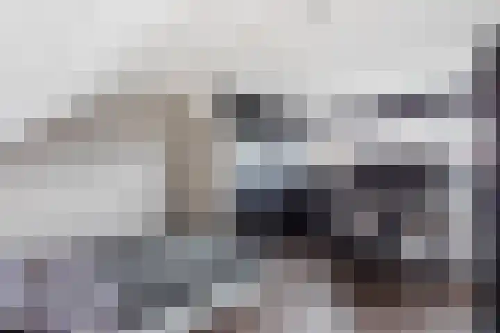 Letterveldweg 106 Borne thumbnail 12