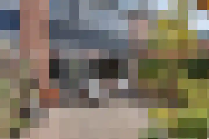 Letterveldweg 106 Borne thumbnail 13