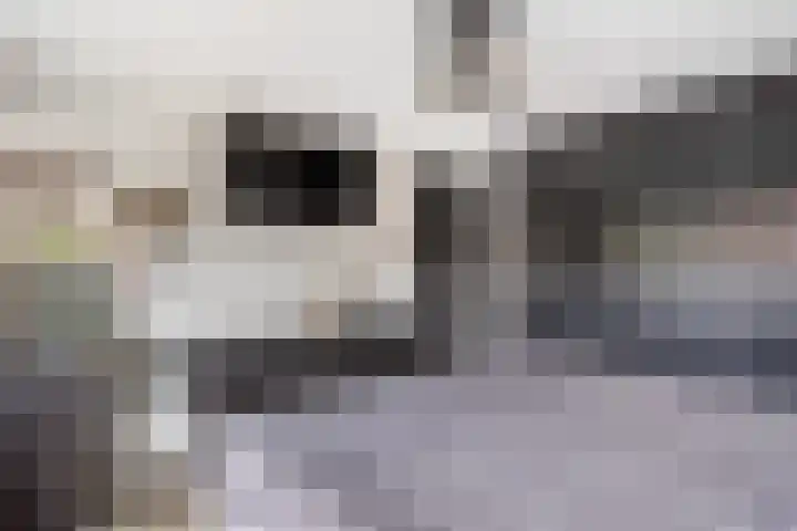 Letterveldweg 106 Borne thumbnail 9