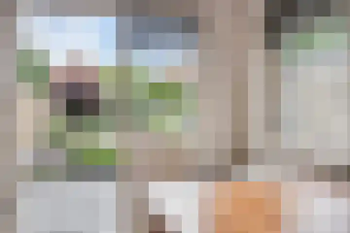 Letterveldweg 109 Borne thumbnail 18