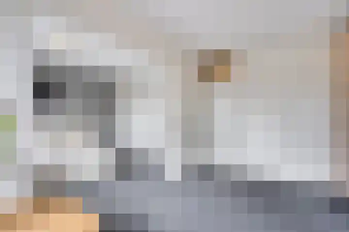 Letterveldweg 109 Borne thumbnail 24