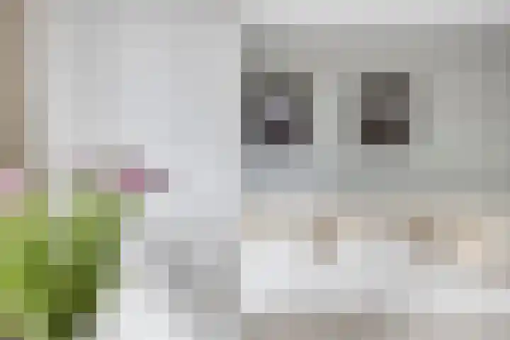 Letterveldweg 109 Borne thumbnail 25