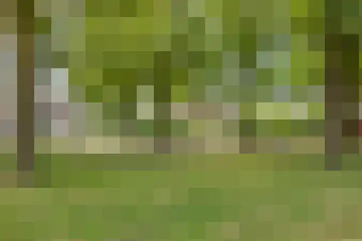 Letterveldweg 109 Borne thumbnail 44
