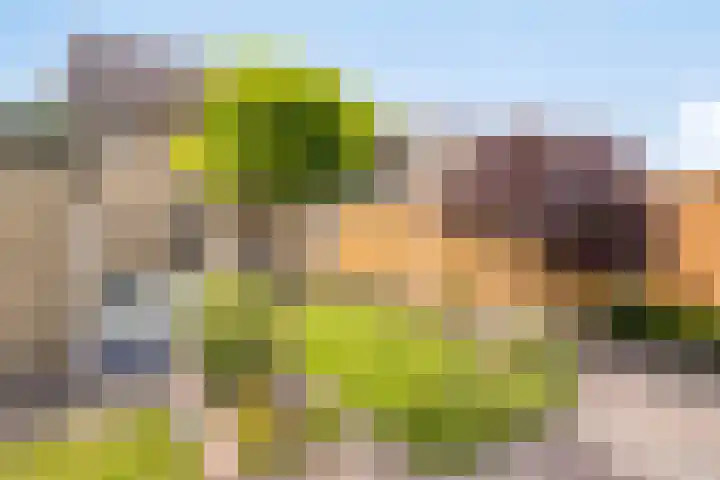 Letterveldweg 109 Borne thumbnail 6