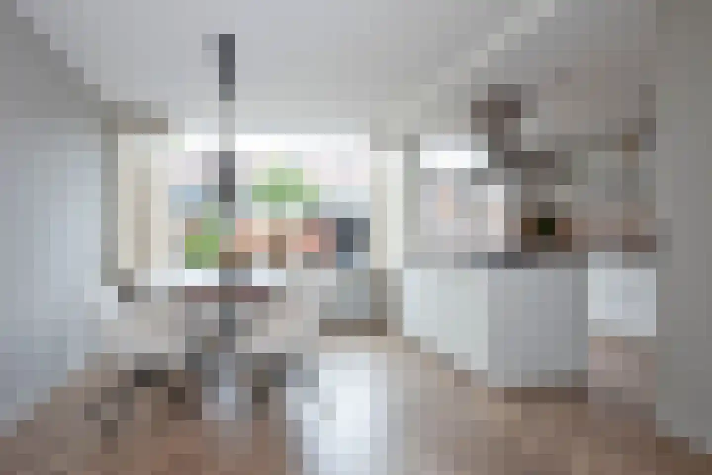 Letterveldweg 130 Borne thumbnail 11