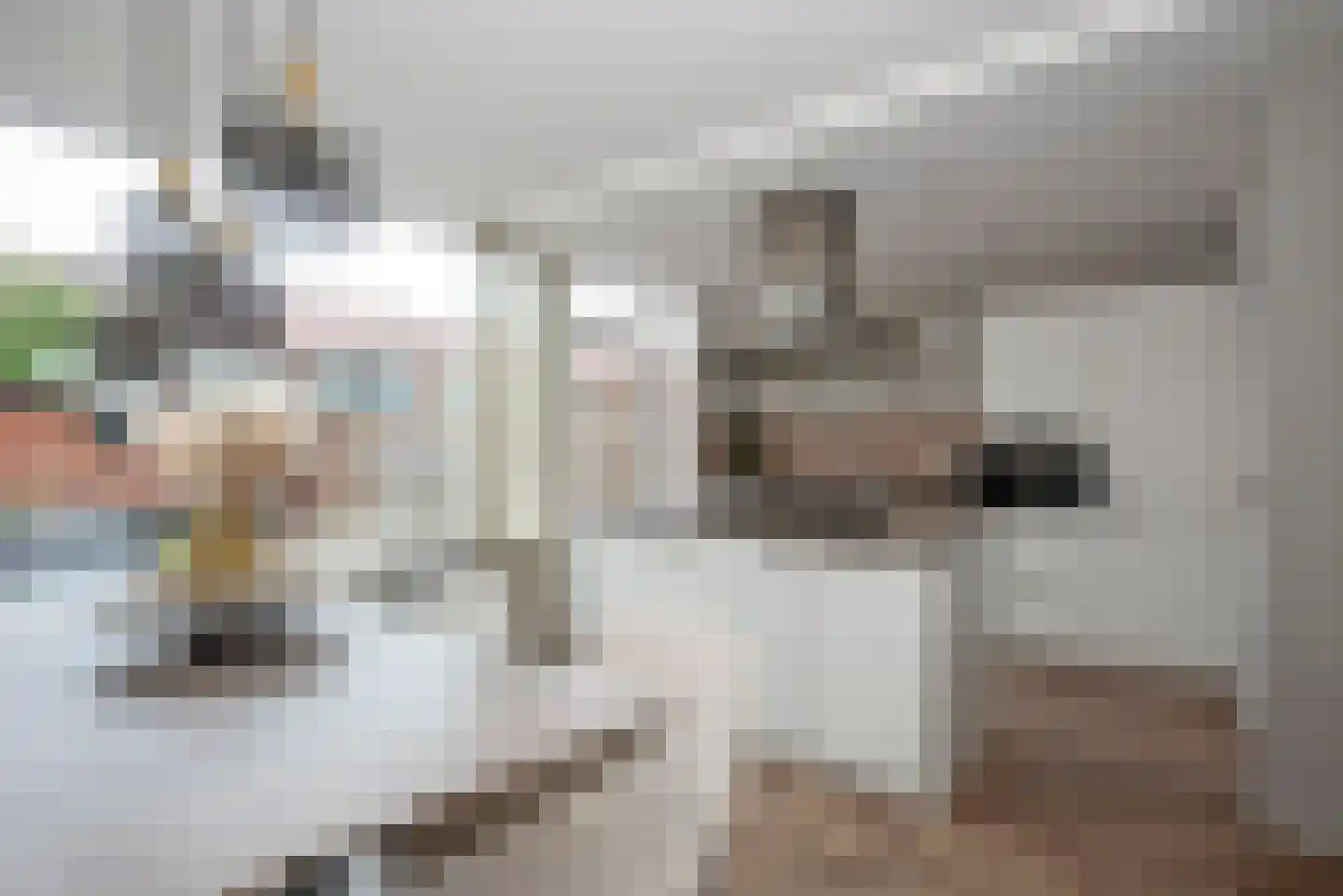 Letterveldweg 130 Borne thumbnail 12