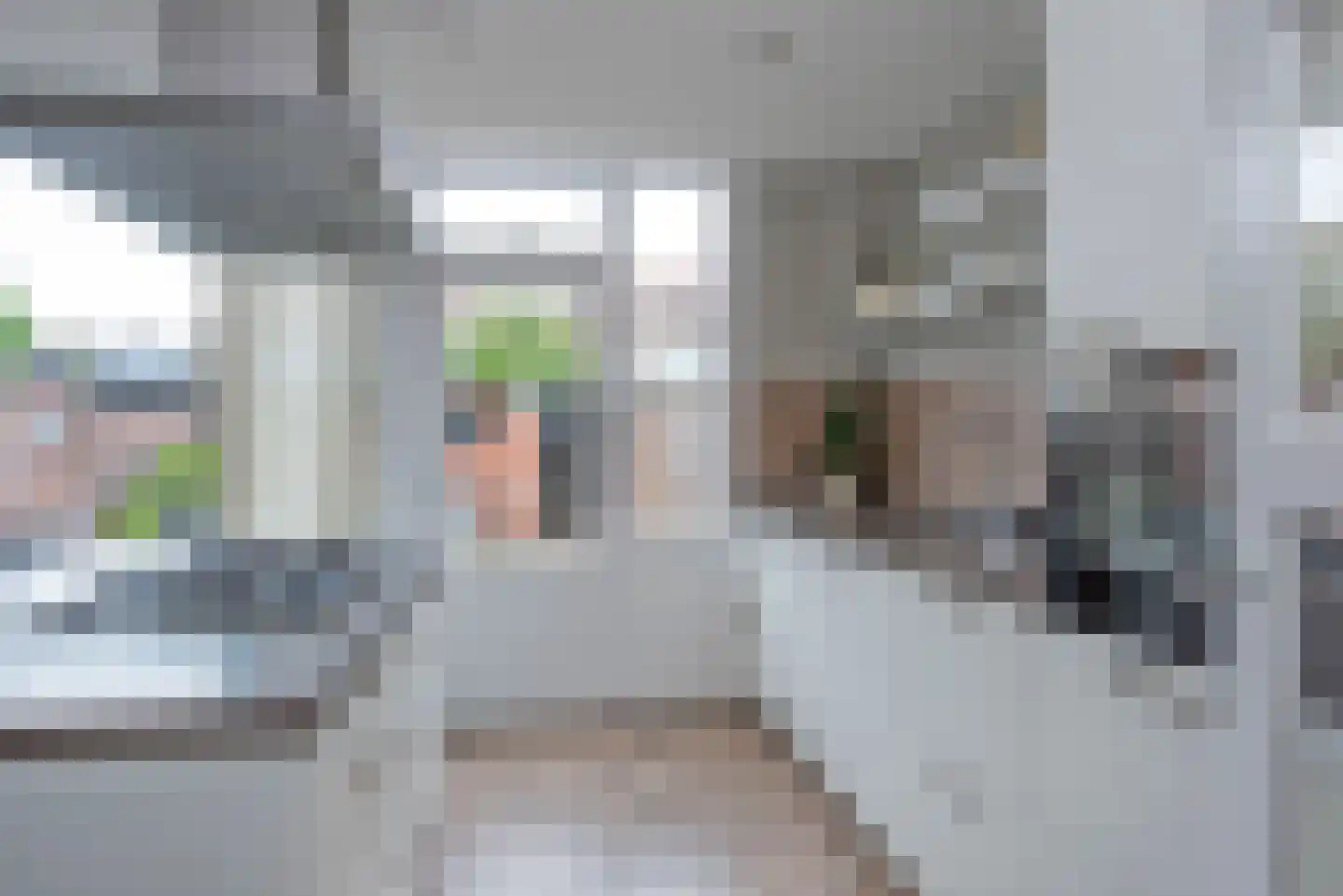 Letterveldweg 130 Borne thumbnail 13