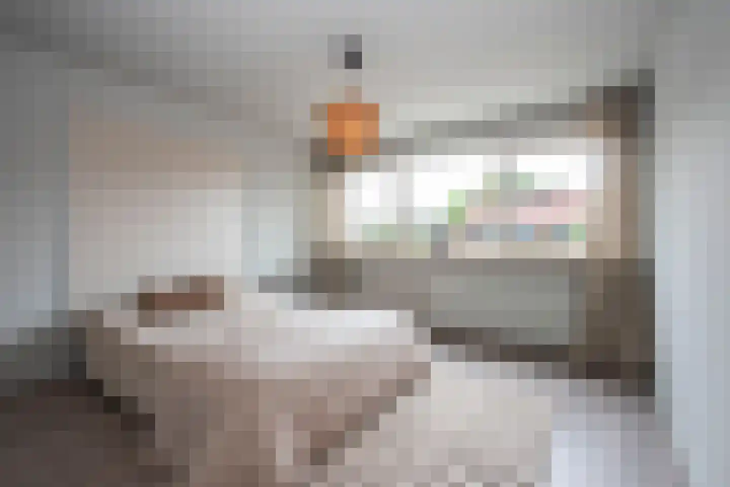 Letterveldweg 130 Borne thumbnail 17