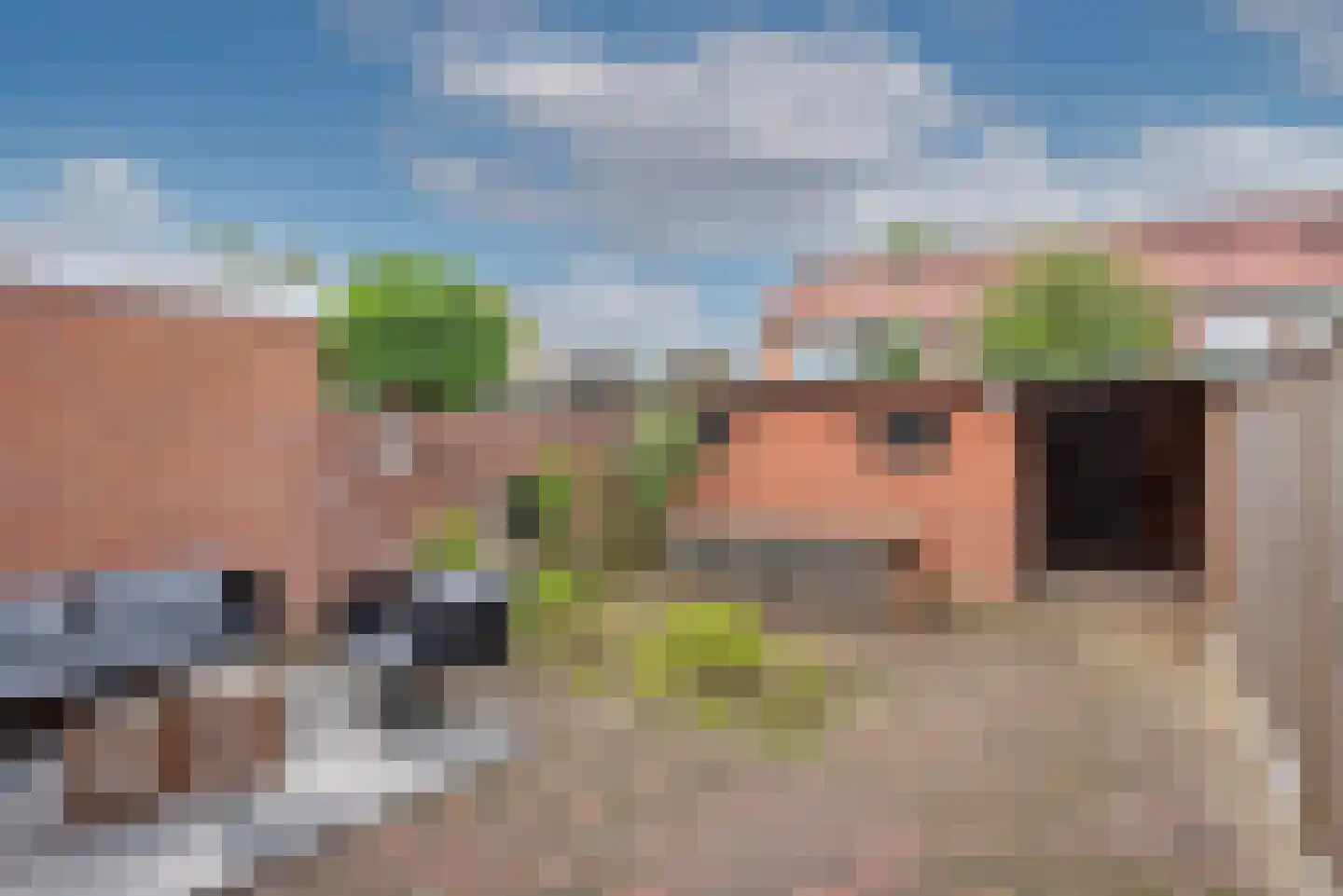 Letterveldweg 130 Borne thumbnail 4