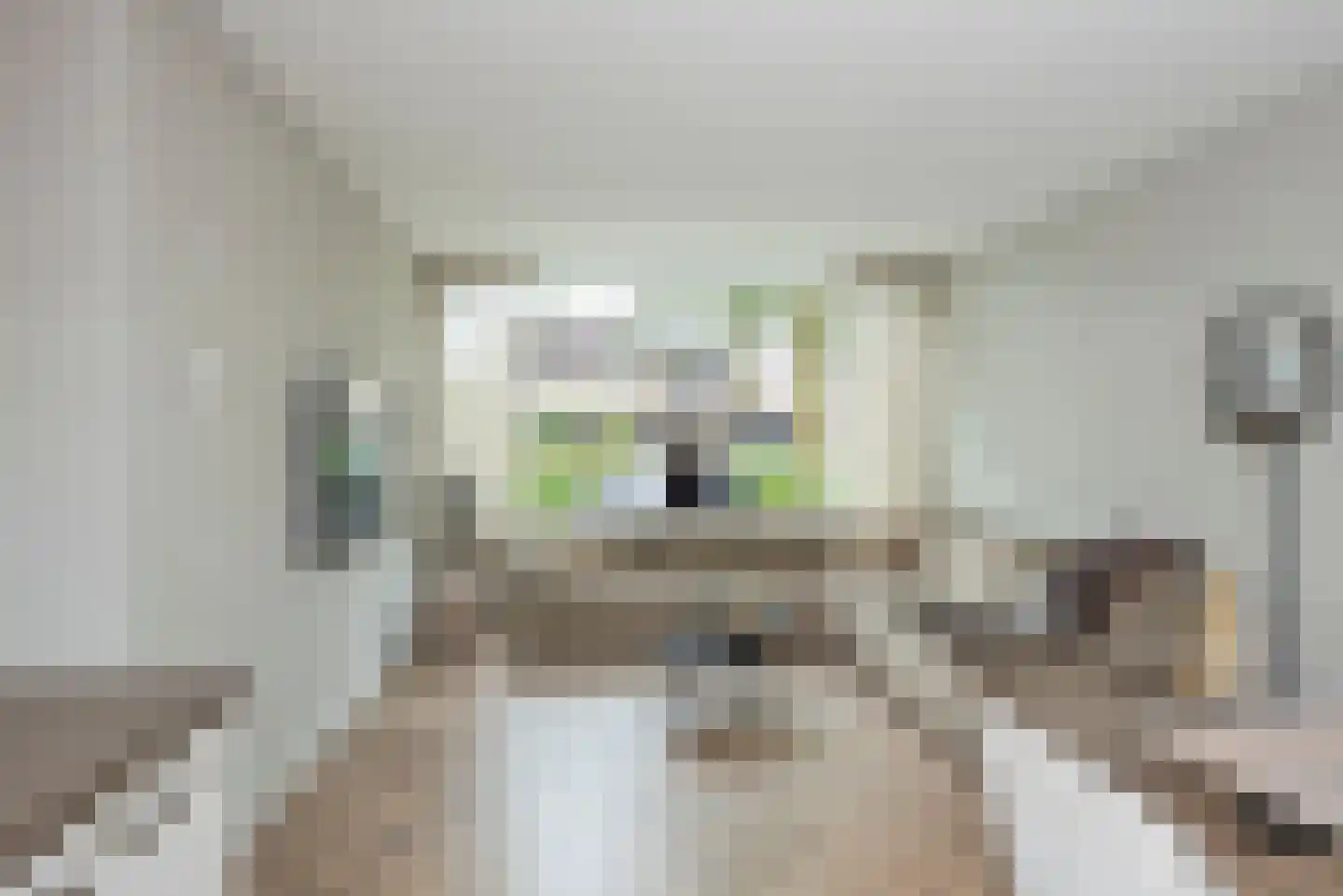 Letterveldweg 130 Borne thumbnail 7