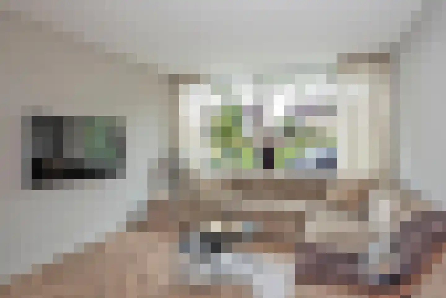 Letterveldweg 130 Borne thumbnail 8
