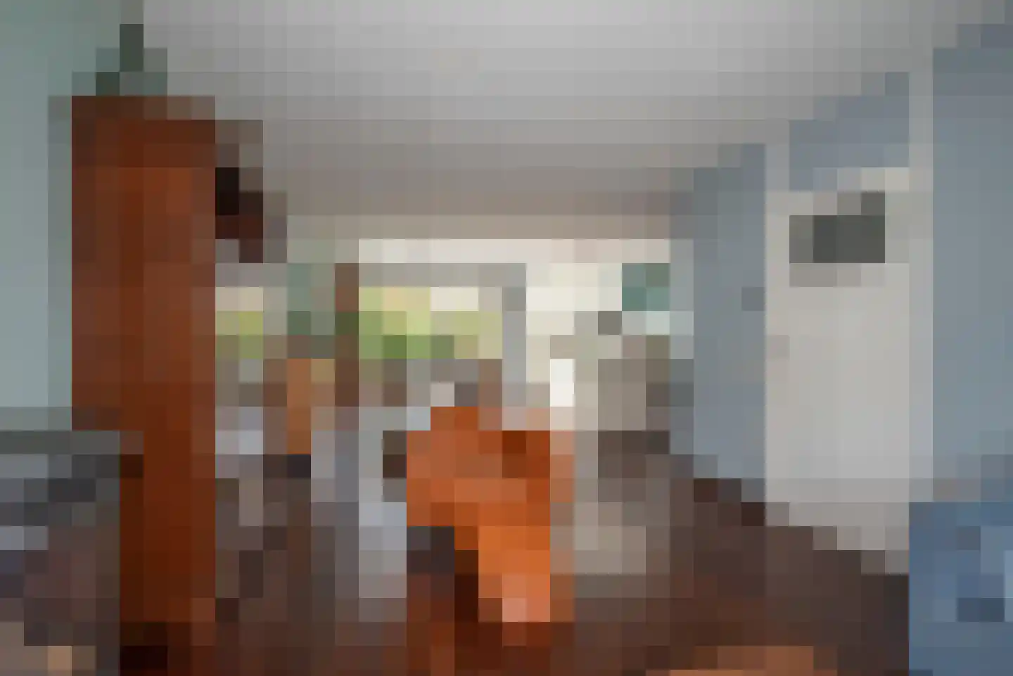 Letterveldweg 60 Borne thumbnail 10
