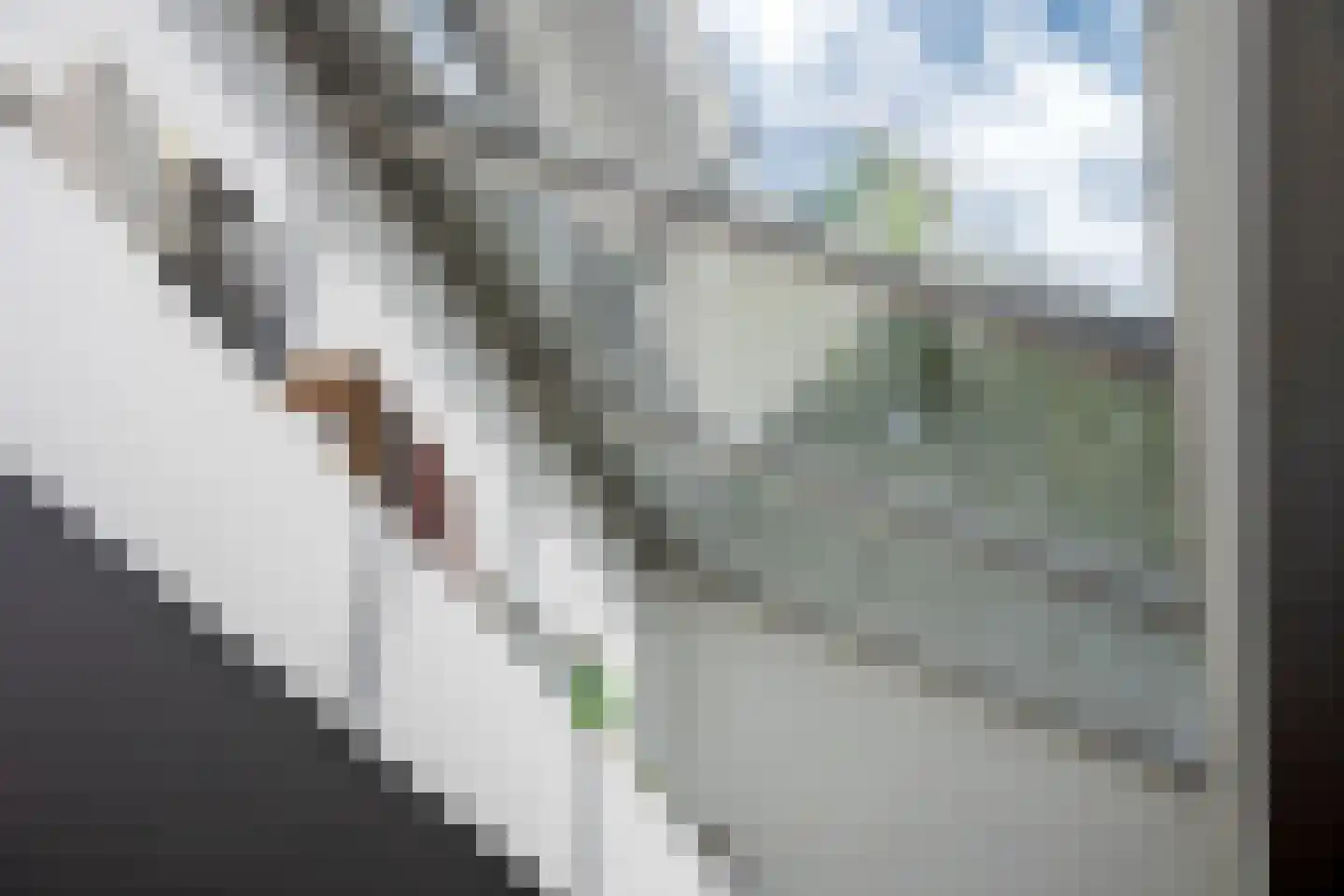Letterveldweg 60 Borne thumbnail 18