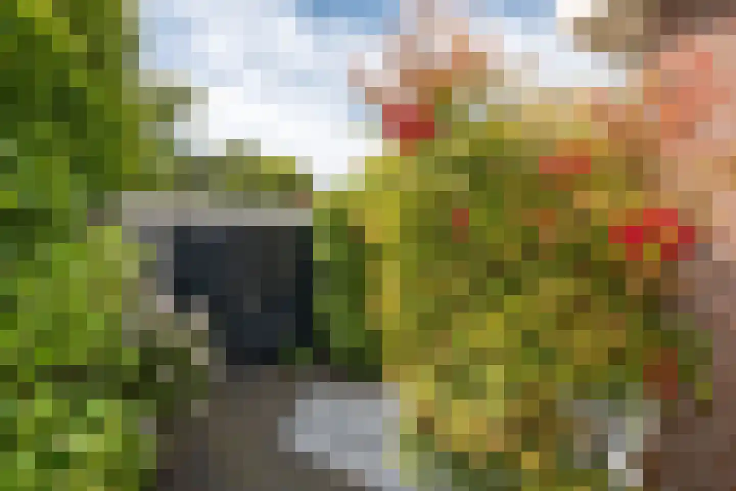 Letterveldweg 60 Borne thumbnail 42